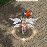 Acidified Zone Ground Effect