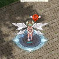 Acidified Zone Water Effect