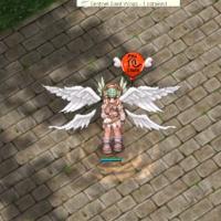 Solid Trap Effect