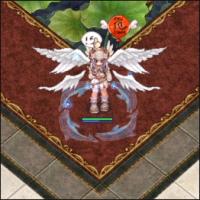 Dolphin Aura Effect