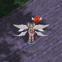 Geffen Nocturn Effect