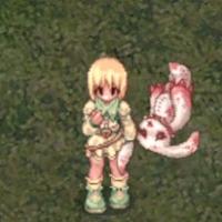Event Hat 484