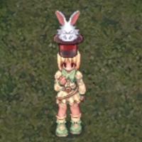 Event Hat 489