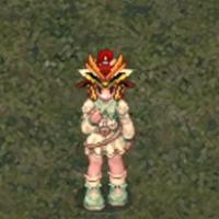 Event Hat 504